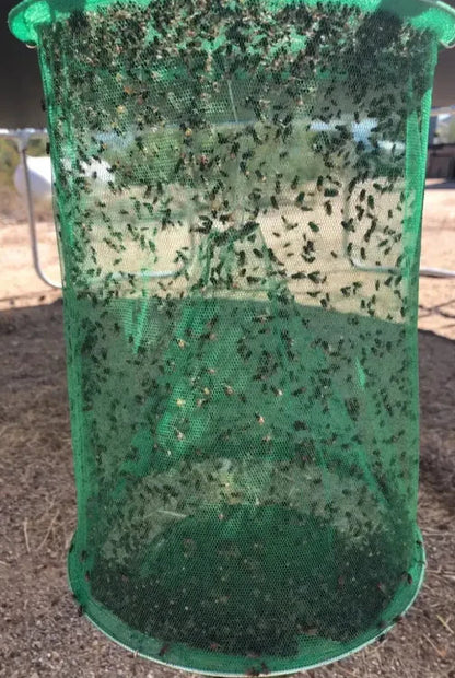 FAST FLY CATCHER