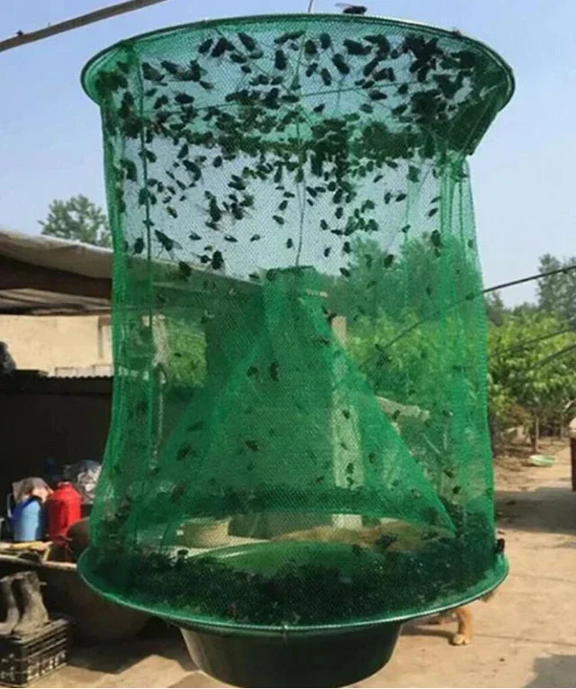 FAST FLY CATCHER