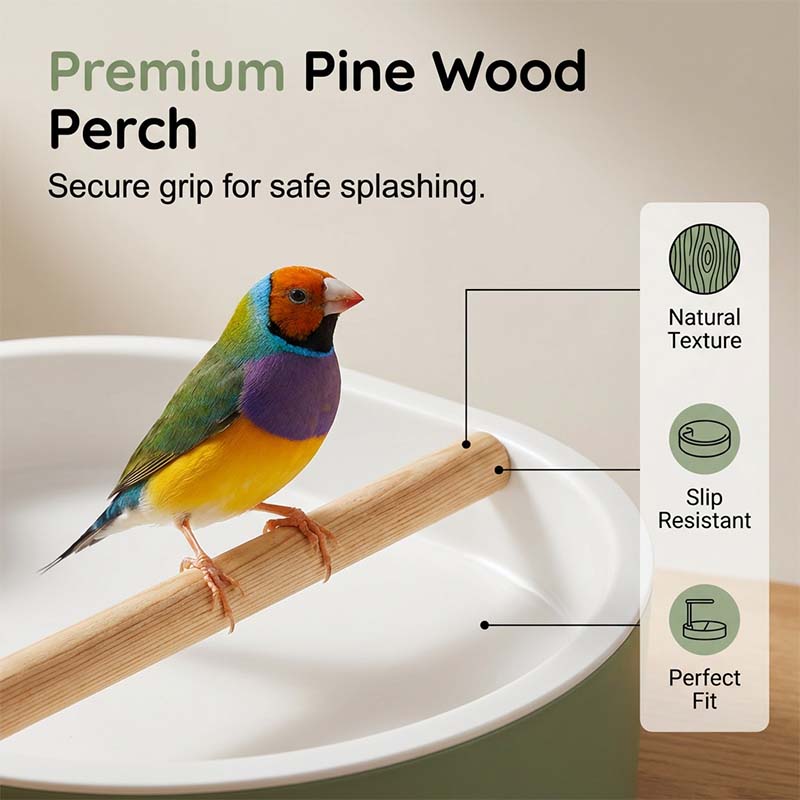 Electric Bird Bath with Shower & Perch